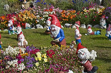 Gnomes, Port Stanley, Falkland Islands, South America