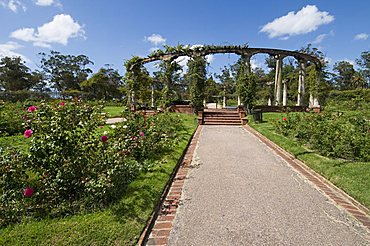 Rose Garden, Montevideo, Uruguay, South America