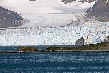 Glacier near Moltke Harbour, Royal Bay, South Georgia, South Atlantic