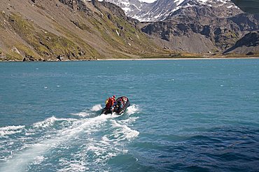 Moltke Harbour, Royal Bay, South Georgia, South Atlantic