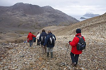 Walking toward Stromness Bay, South Georgia, South Atlantic