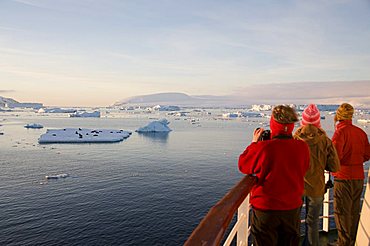 Viewing fur seals on pack ice in the Antarctic Sound, Antarctic Peninsula, Antarctica, Polar Regions