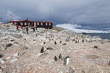 British Base and Post Office, Port Lockroy, Antarctic Peninsula, Antarctica, Polar Regions