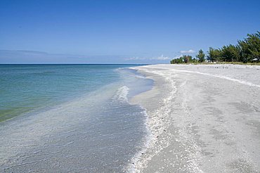 Beach covered in shells, Captiva Island, Gulf Coast, Florida, United States of America, North America