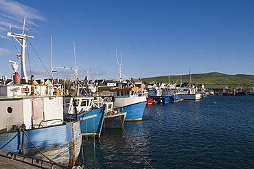 Dingle Harbour with fishing boats, Dingle, County Kerry, Munster, Republic of Ireland, Europe