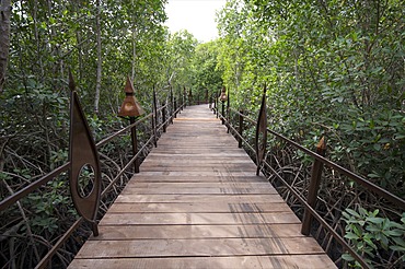 Mandina Lodge, Makasutu Forest, near Banjul, Gambia, West Africa, Africa