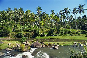 River valley at Kupa Kupa Barong, near Ubud, Bali, Indonesia, Southeast Asia, Asia