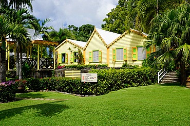 Caribelle Batik, St. Kitts, St. Kitts and Nevis, Leeward Islands, West Indies, Caribbean, Central America