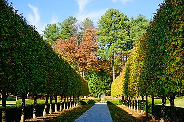 The grounds of The Mount, Edith Wharton's home, Lenox, The Berkshires, Massachusetts, New England, United States of America, North America