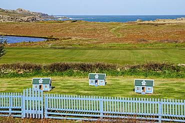 Chicken houses at Hell Bay Hotel, Bryher, Isles of Scilly, England, United Kingdom, Europe