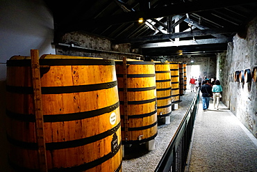 Taylors Port House, Porto (Oporto), Portugal, Europe