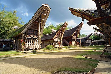 Toraja houses and granaries, Toraja area, Sulawesi, Indonesia, Southeast Asia, Asia