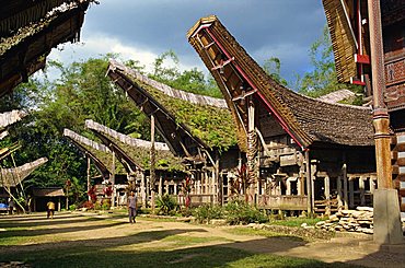 Toraja houses and granaries, Toraja area, Sulawesi, Indonesia, Southeast Asia, Asia