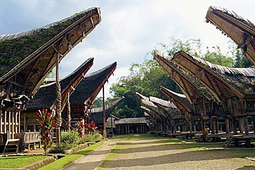 Toraja houses and granaries, Toraja area, Sulawesi, Indonesia, Southeast Asia, Asia