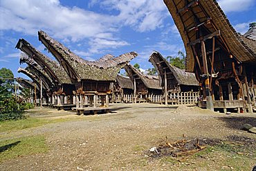 Typical houses and granaries, Toraja  area, Sulawesi, Indonesia