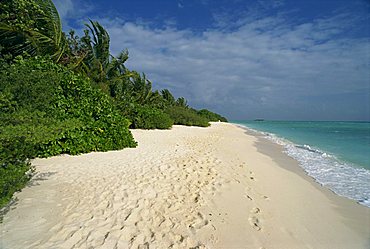 Reethi Rah, Maldive Islands, Indian Ocean, Asia