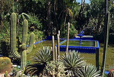 Cacti and fountain in the Majorelle Gardens, Marrakesh (Marrakech), Morocco, North Africa, Africa