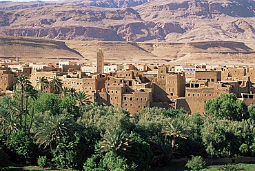 Kasbahs in the Draa Valley, Morocco, North Africa, Africa