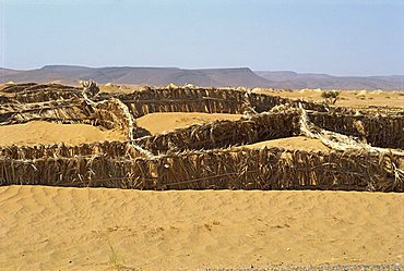 Barriers erected to prevent sand drifting onto road, near Tinejdad, Morocco, North Africa, Africa