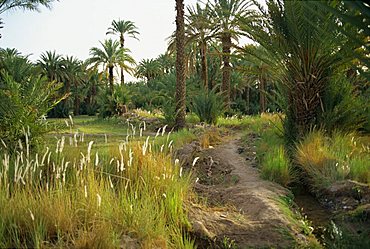 Zagora, Morocco, North Africa, Africa