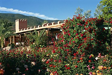 La Roseraie Hotel, Ourigane, famous for its rose gardens, Morocco, North Africa, Africa