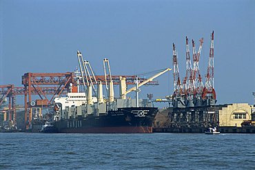 Cochin harbour, Kerala state, India, Asia