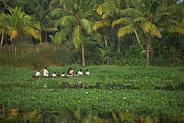 Landscape of a typical backwater, with people in a small boat, Backwaters, Kerala, India, Asia