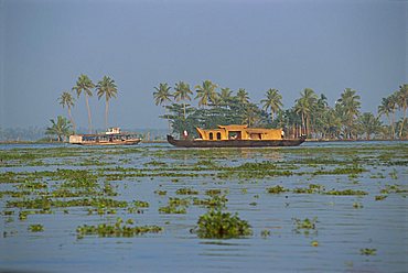 Houseboats used for tourists, Backwaters, Kerala state, India, Asia