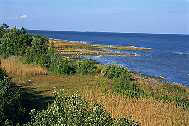 On the coast of Muhu, an island to the west of Tallinn, Muhu, Estonia, Baltic States, Europe