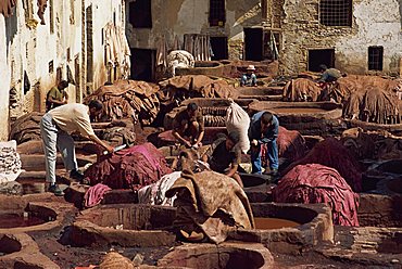 The Tannery, Fez, Morocco, North Africa, Africa