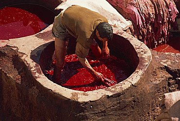 Man working in the Tannery, Fez, Morocco, North Africa, Africa