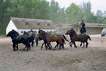 Csikos or cowboys on horse farm in the Puszta, Hungary, Europe