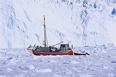 Red wooden boat crossing the ice in front of the Eqi Glacier, near Ilulissat, Greenland, Polar Regions