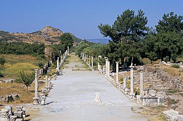 Archaeological site, Ephesus, Anatolia, Turkey, Asia Minor, Asia