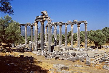 Ruins of the Temple of Zeus, archaeological site, Euromos, near Bodrum, Anatolia, Turkey, Asia Minor