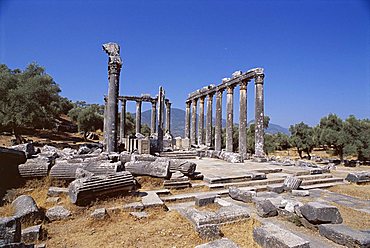 Ruins of the Temple of Zeus, archaeological site, Euromos, near Bodrum, Anatolia, Turkey, Asia Minor