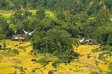 Valley, Toraja area, Sulawesi, Indonesia, Southeast Asia, Asia