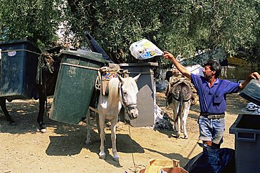 Mule used for collecting rubbish, island of Trikeri, Pelion, Greece, Europe