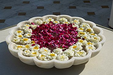 Marble bowl with floating flowers, Shiv Niwas Palace, Udaipur, Rajasthan state, India, Asia