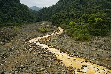 Brown water flowing from river fed with volcanic silt, Costa Rica