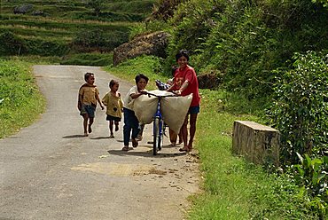 Small group of children carrying load on bicycle and walking up a country road, Toraja area, island of Sulawesi, Indonesia, Southeast Asia, Asia