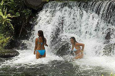 Tabacon Hot Springs, volcanic hot springs fed from the Arenal Volcano, Arenal, Costa Rica, Central America