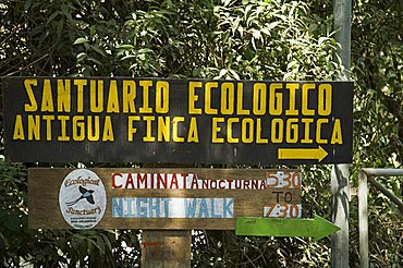 Private eco reserve, Monteverde, Costa Rica, Central America