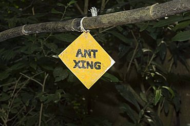 Sign so you don't step on a stream of leaf cutter ants, Monteverde, Costa Rica, Central America