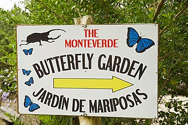 Butterfly Park, Monteverde, Costa Rica, Central America