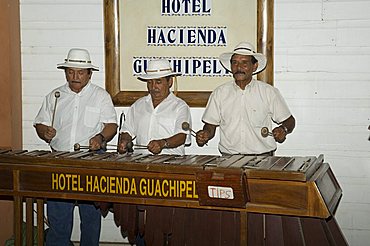 Musicians playing a type of xylophone, Hacienda Guachipelin, near Rincon de la Vieja National Park, Guanacaste, Costa Rica, Central America