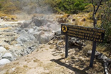 Steaming volcanic mud pools, Rincon de la Vieja National Park, at foot of Rincon Volcano, Guanacaste, Costa Rica, Central America