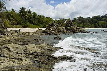 Manuel Antonio National Park, Costa Rica, Central America