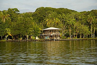 Tortuguero, Costa Rica, Central America