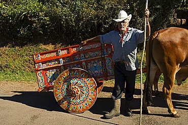 Man with decortated ox cart, Central Highlands, Costa Rica, Central America